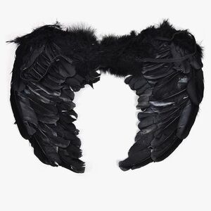 Black dress up wings